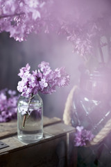 Lilac blossom, tinted photo