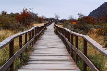 Obraz premium Walkway in National Park, Ushuaia.