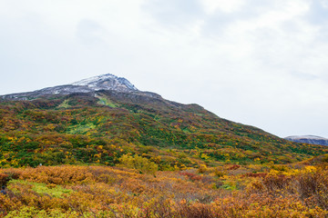 鳥海山　紅葉