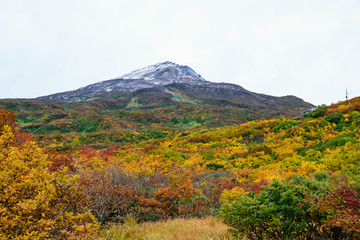 鳥海山　紅葉