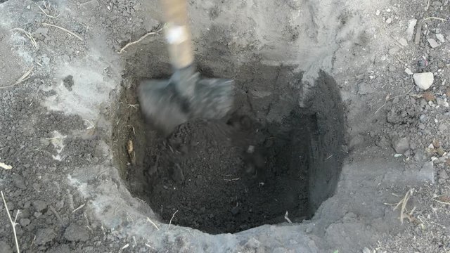 Digging a hole with a shovel in the ground. Close up shot.