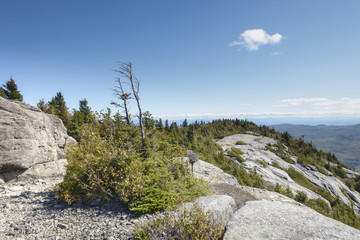 Sunny Windswept Bald Peak, Adirondack Mountains, New York State