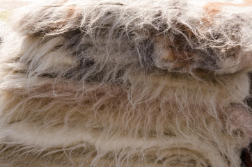 Close-up of processed wool sheep