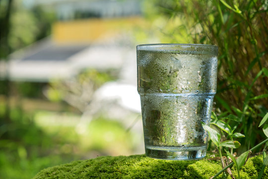 Glass of water placed on a stone with a moss green,Blurred background.