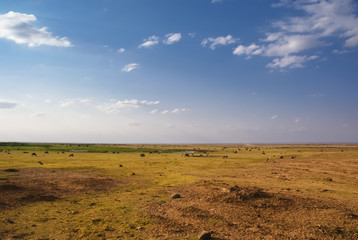 Paradiesischer Garten Eden in der Savanne des Amboseli Nationapark, Kenia