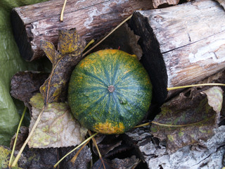 small round