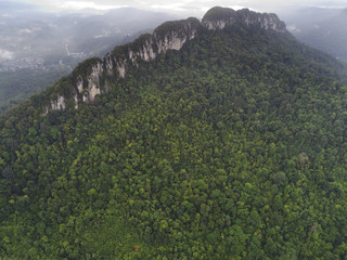 A thick rain forest covered mountainous landscape except at its peak.  