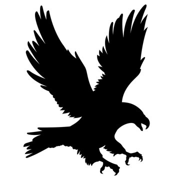 Eagle silhouette 001