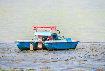 Naklejka premium old abandoned catamaran on the shore
