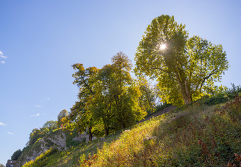 Farbenfrohe Herbstlandschaft, Herbstsonne