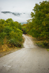 Autumnal landscape of Kakheti region