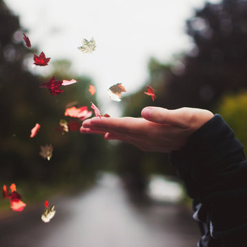 A young woman blowing leaf shaped confetti