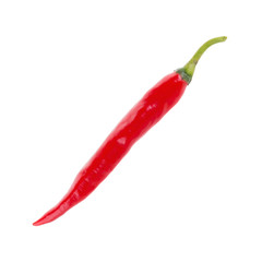 Fototapeta na wymiar Red chili pepper isolated on a white background