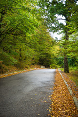 Fototapeta premium Autumnal landscape of Kakheti region