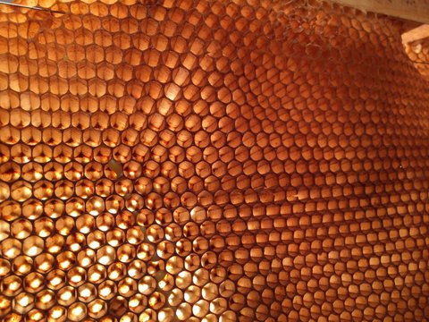 honey comb close up