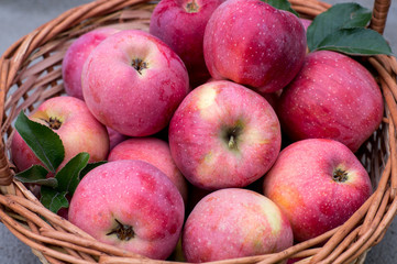 Basket of ripe apples