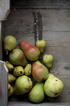 Organic pears in the crate