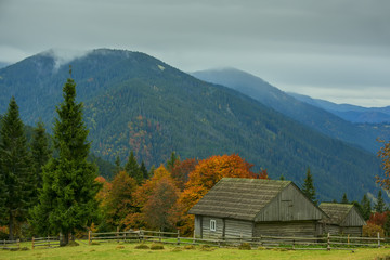 Wooden old simple houses on a clearing among yellow trees and green mountains. autumn beautiful landscape of wild nature.
