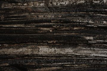 scratch marks on wall