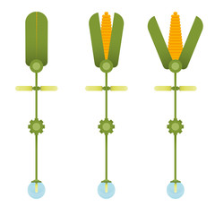 Corn plant. Creative inspiration concept with futuristic technology mechanical device and natural organic products. Vector illustration.