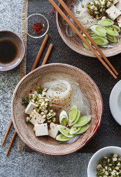 Asian noodle soup with smoked tofu and leeks