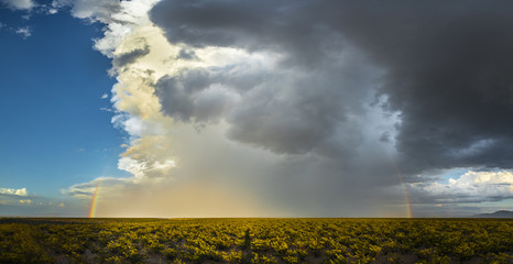 panorama of a huge rainbow across a desert field with mountains in the distance  