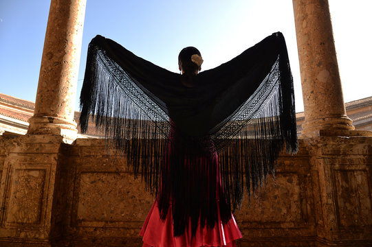 Flamenco dancer in Carlos V Palace, Granada