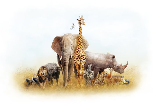Fototapeta African Safari Animal Fantasy Land