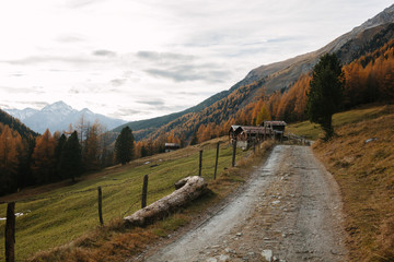 Dirt road in the mountains in autumn