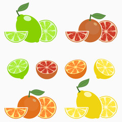 Citrus. Orange, lime, lemon, grapefruit. Set of whole fruit with slice, half and leaf. Vector illustration.