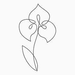 Iris one line drawing. Continuous line flower. Hand-drawn illustration for logo, emblem and design card, poster. Vector.
