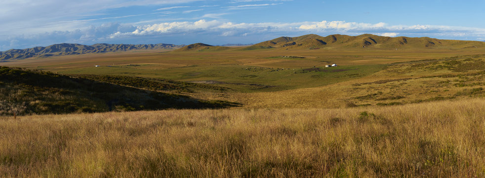 landscape of autumn grassland