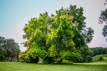 Sur la route, dans l'Aveyron
