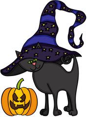 Halloween black cat and pumpkin