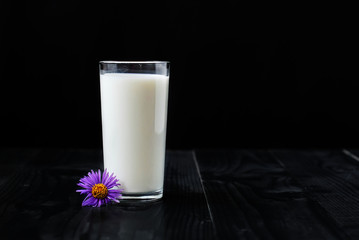 Just a glass of milk on a black background and a purple flower