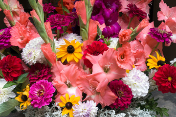Display of Colourful Cut Flowers