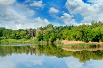 Fototapeta na wymiar lake, summer forest on the banks and sky