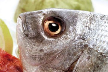 Gilt-head Sea Bream eye