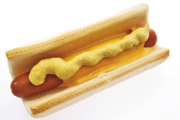 Fast food: hot dog with cheese and mustard