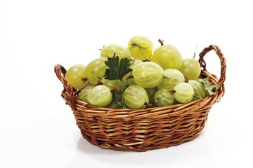 Green gooseberries in a basket