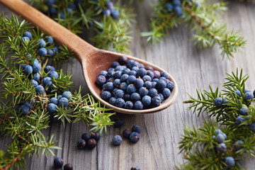 Wooden spoon with seeds of juniper.