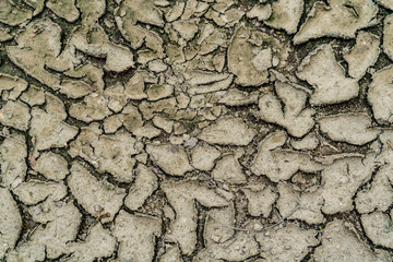 Cracked dry land
