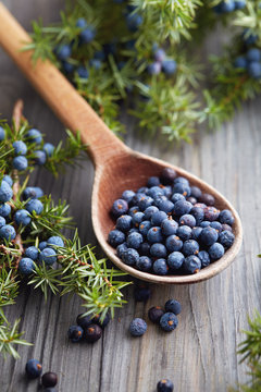 Wooden spoon with seeds of juniper.