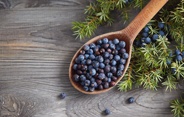 Wooden spoon with seeds of juniper.
