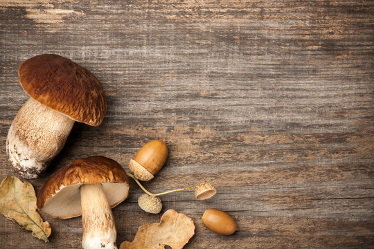 Boletus mushrooms  on wooden background