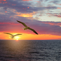 Fototapeta na wymiar Scenic sunset seascape