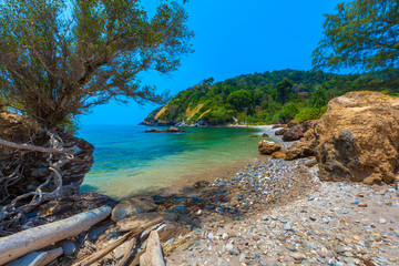 Pebble beach with tropical trees. Lanta National Park. Krabi, Thailand.