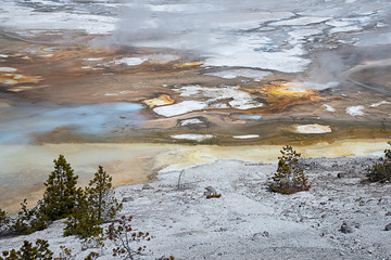 Norris Geyser Basin