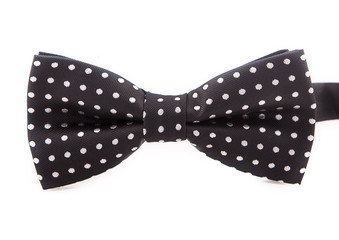 Bow tie accessory for a gentleman. Black with white polka dots on white background