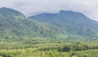 Fototapeta na wymiar Green forest on mountain ,Thailand